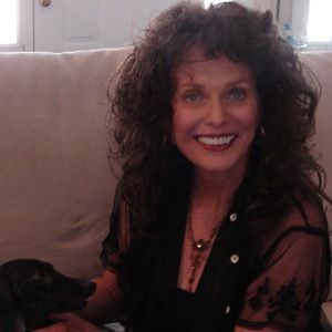 Meet your Posher, Barbara